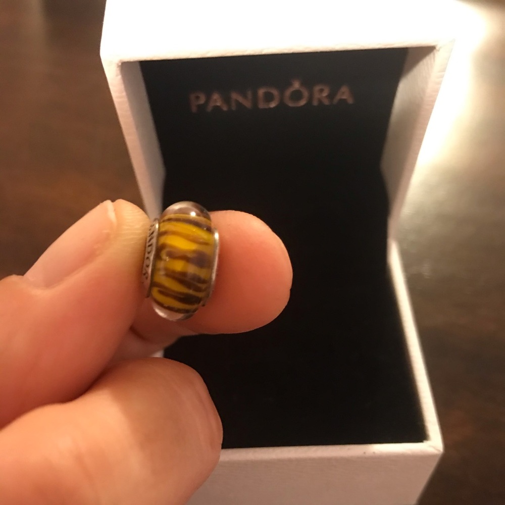 Pandora Tiger Eye Spacer Charm